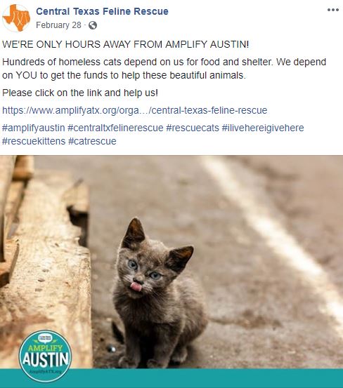 Jalisa Haggins Miscellaneous Content Creation