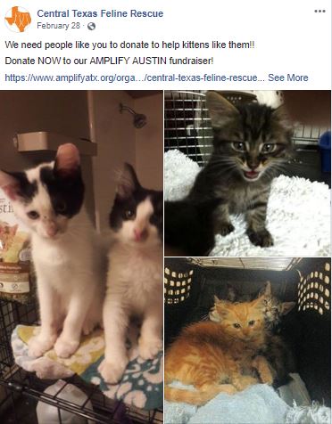 Jalisa Haggins Miscellaneous Content Creation