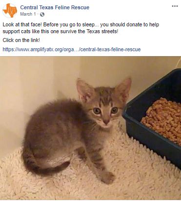 Jalisa Haggins Miscellaneous Content Creation