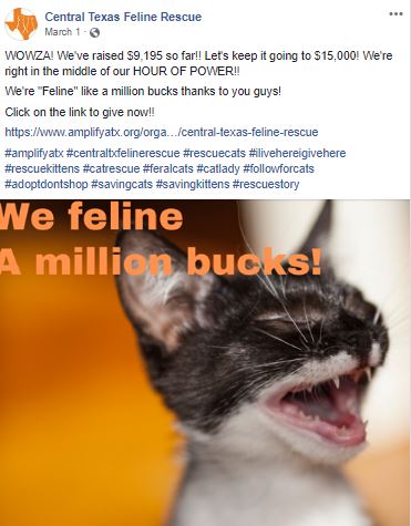 Jalisa Haggins Miscellaneous Content Creation