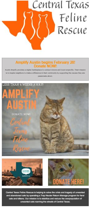 Jalisa Haggins Miscellaneous Content Creation