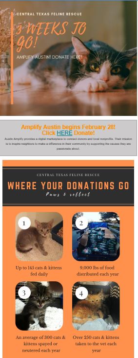 Jalisa Haggins Miscellaneous Content Creation